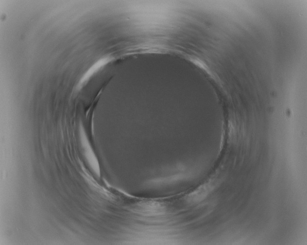 X0000060791450200511241832