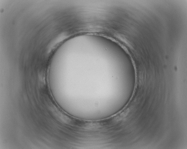 X0000060791451200511241832