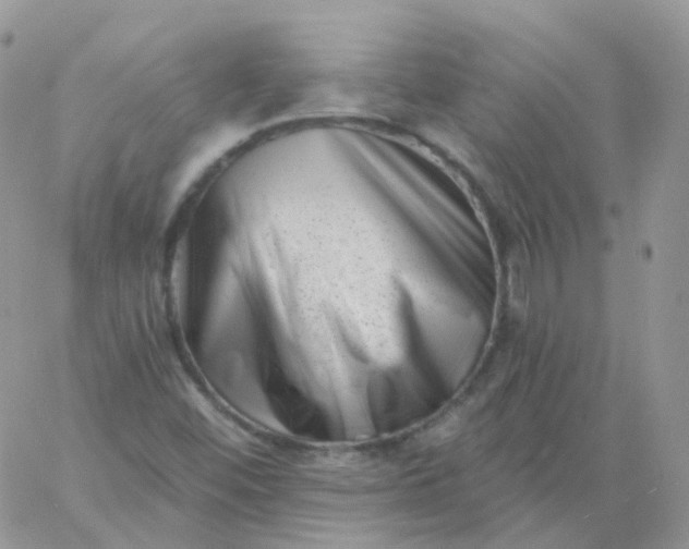 X0000060791452200511241832