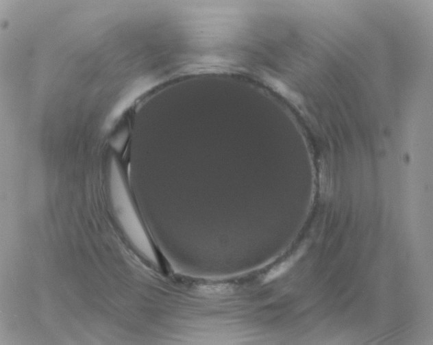 X0000060791453200511241832