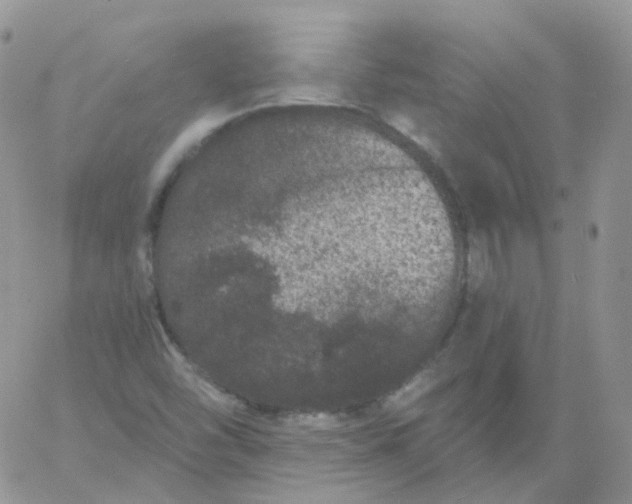 X0000060791454200511241832