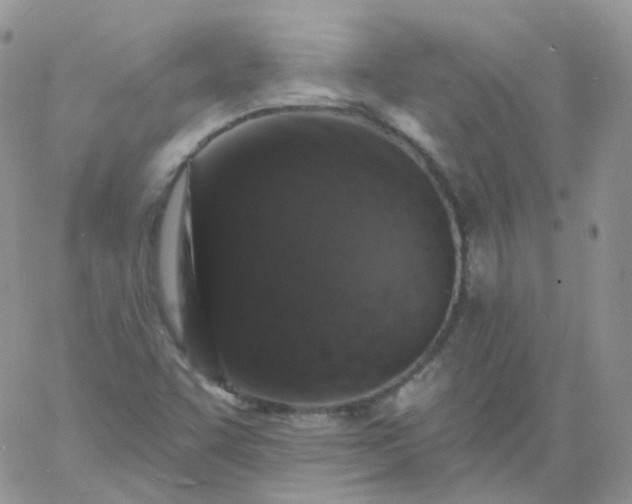 X0000060791455200511241832