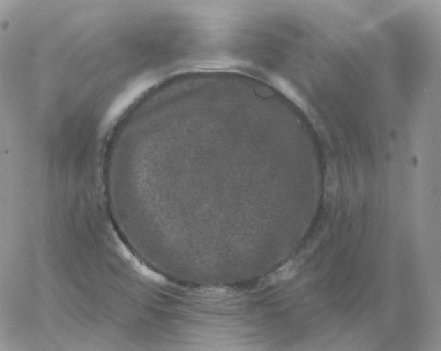 X0000060791456200511241832