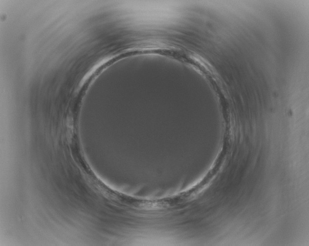 X0000060791457200511241832