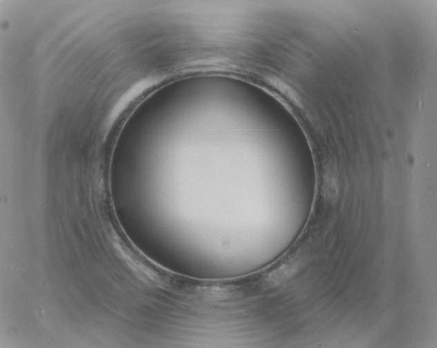 X0000060791458200511241832