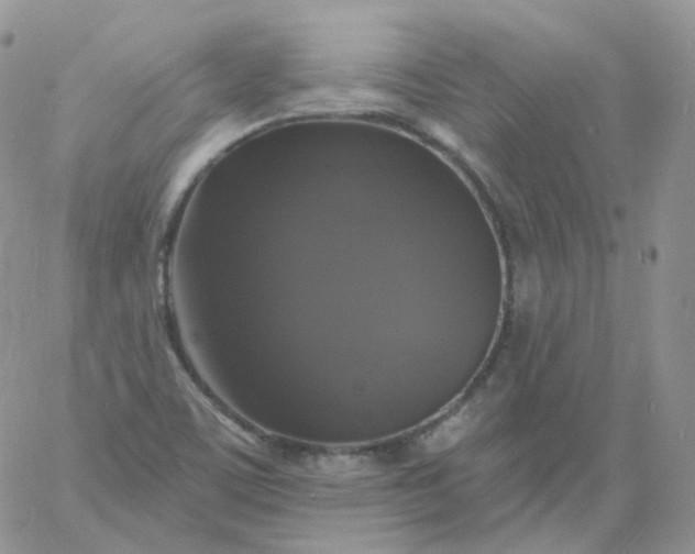 X0000060791459200511241832