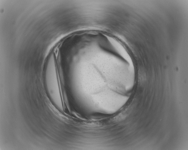 X0000060791460200511241832