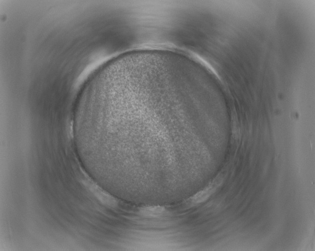 X0000060791462200511241832