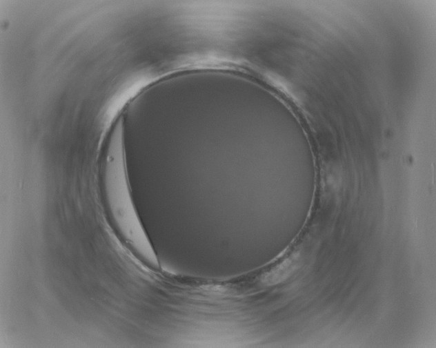 X0000060791463200511241832