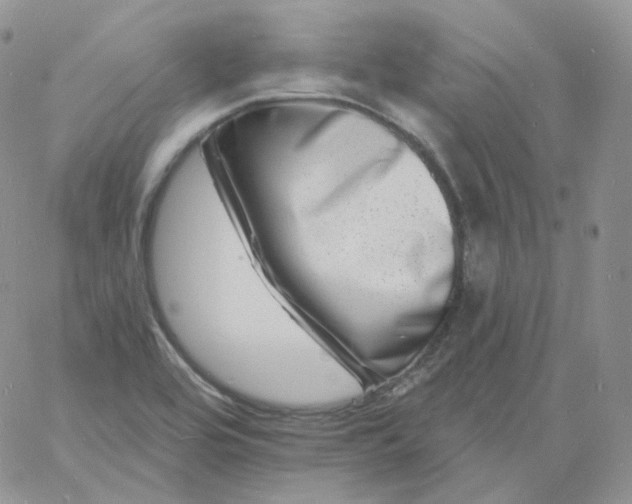 X0000060791464200511241832