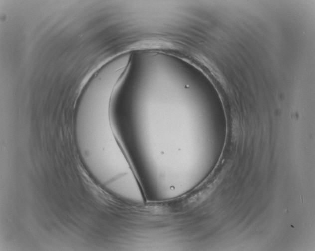 X0000060791465200511241832