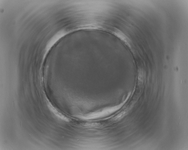 X0000060791466200511241832