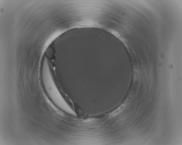 X0000060791469200511241832