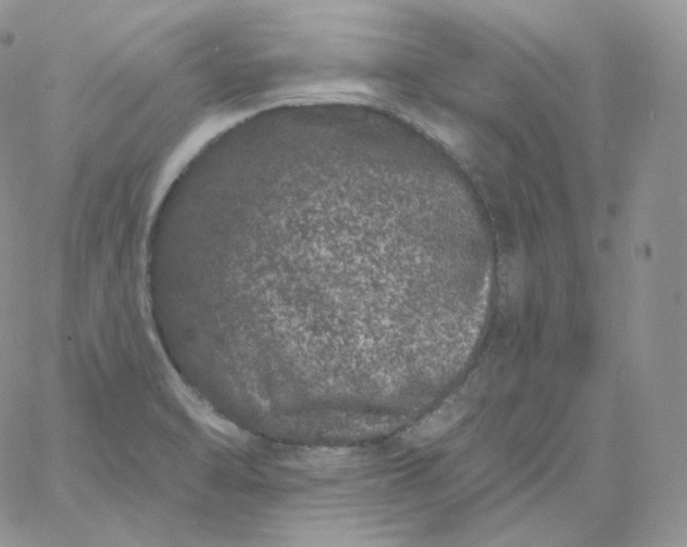 X0000060791470200511241832