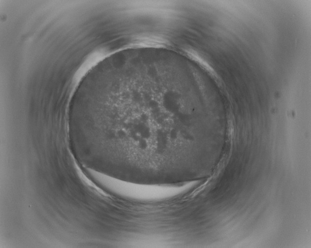 X0000060791471200511241832