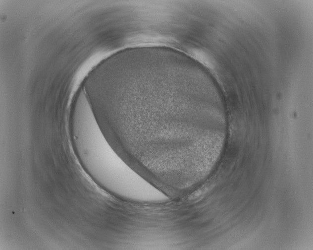 X0000060791472200511241832