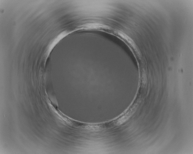 X0000060791473200511241832