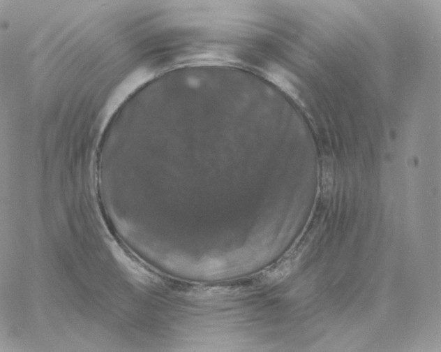 X0000060791474200511241832