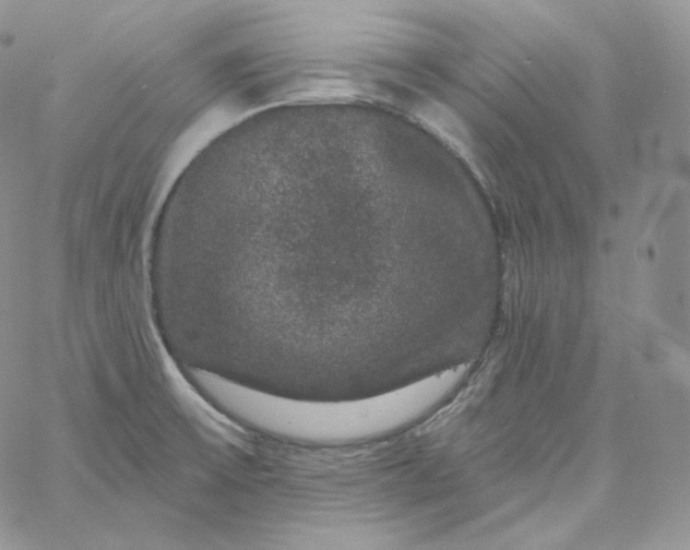 X0000060791475200511241832