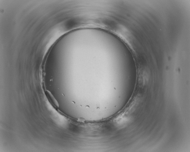 X0000060791476200511241832