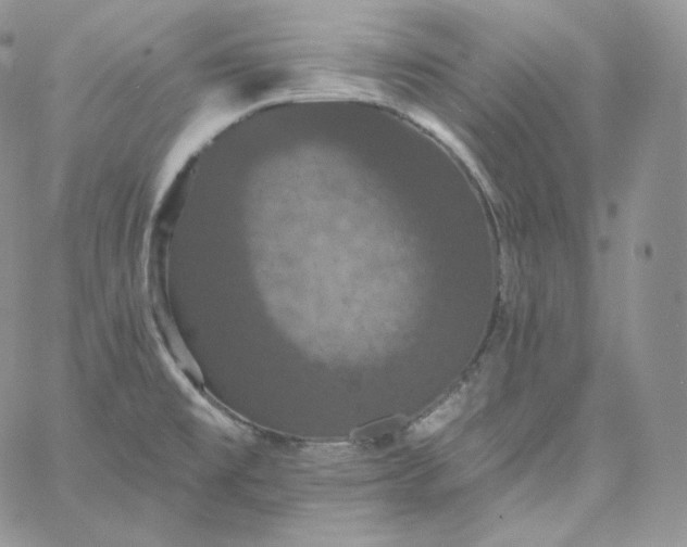 X0000060791477200511241832