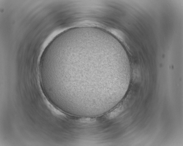 X0000060791478200511241832