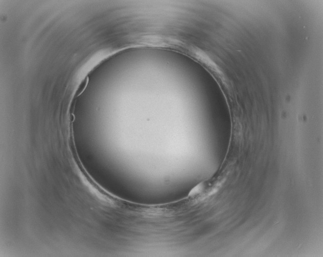 X0000060791479200511241832