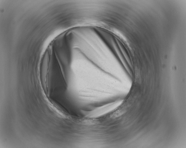 X0000060791480200511241832