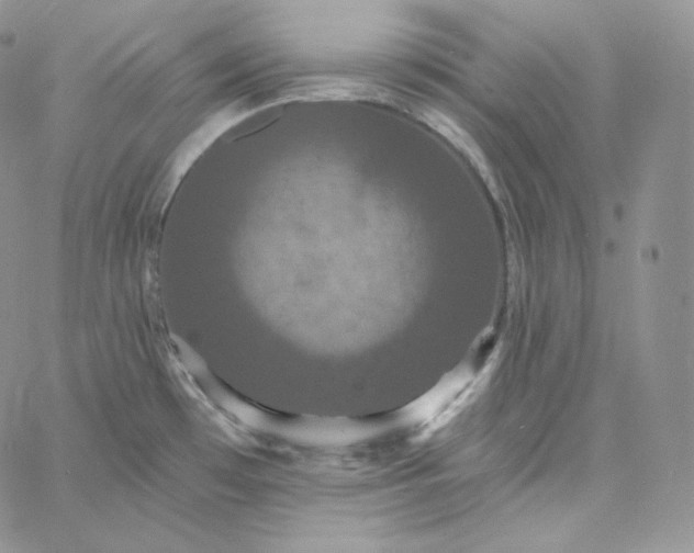 X0000060791481200511241832