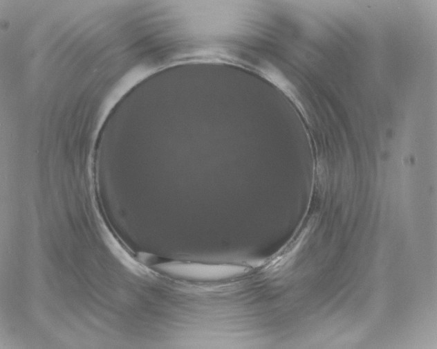 X0000060791482200511241832