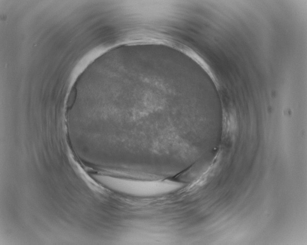 X0000060791485200511241832