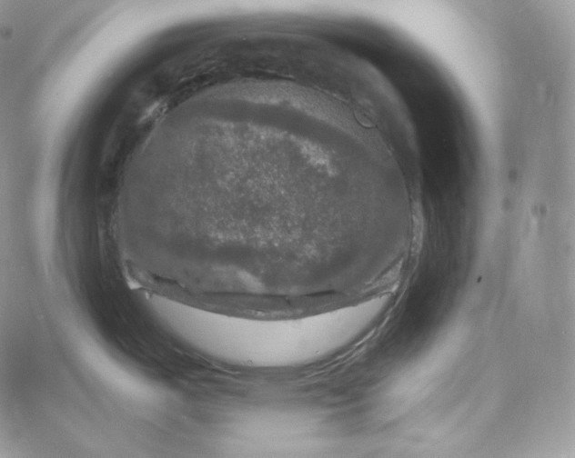 X0000060791487200511241832