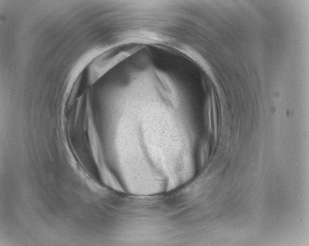 X0000060791488200511241832