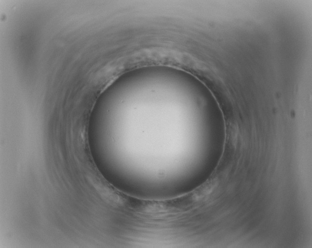 X0000060791489200511241831