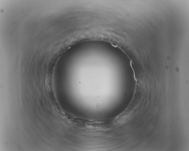 X0000060791490200511241831