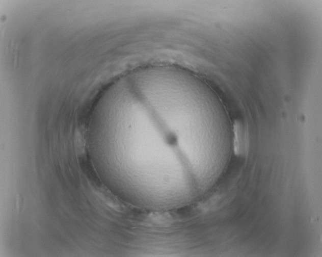 X0000060791491200511241831