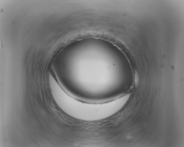 X0000060791492200511241831