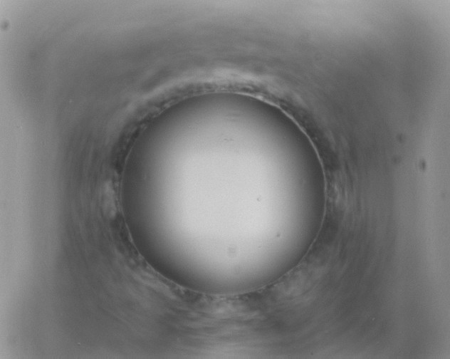 X0000060791493200511241831