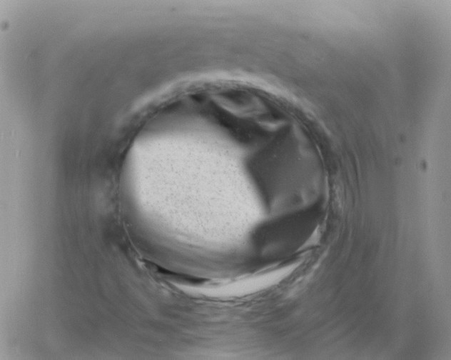 X0000060791494200511241831