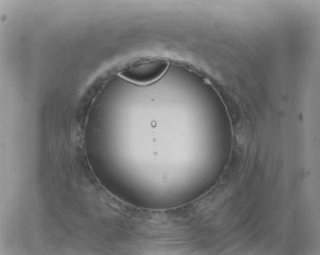 X0000060791495200511241831