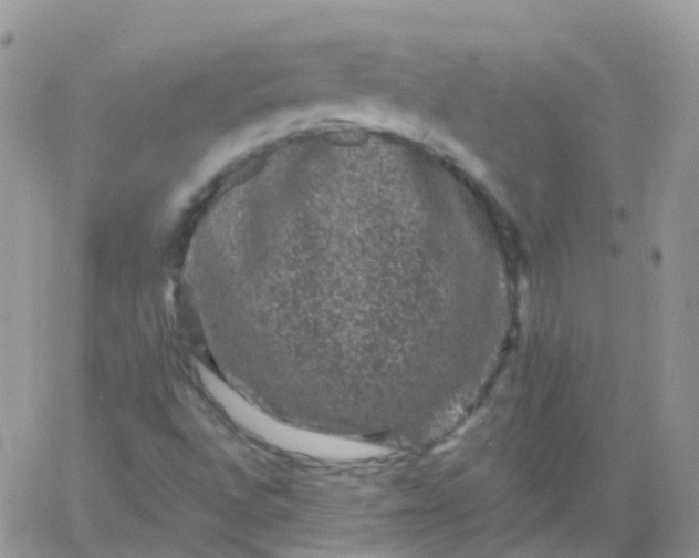 X0000060791496200511241831