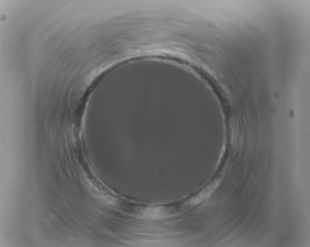 X0000060791497200511241831