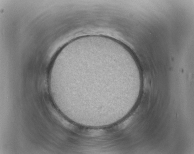 X0000060791498200511241831