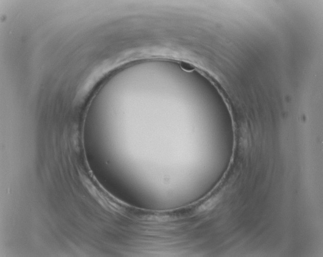 X0000060791499200511241831