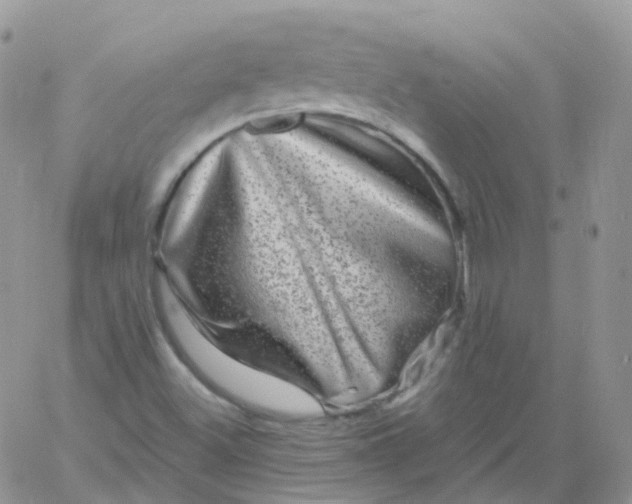 X0000060791500200511241831