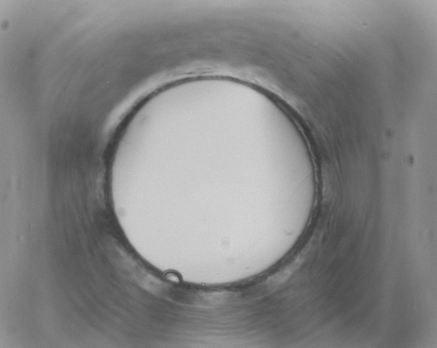 X0000060791502200511241831