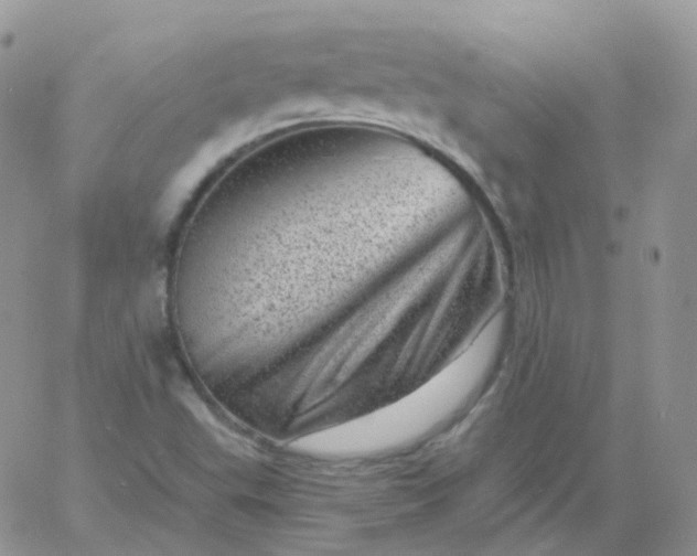 X0000060791503200511241831