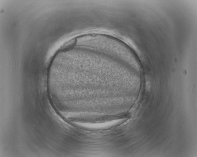 X0000060791504200511241831