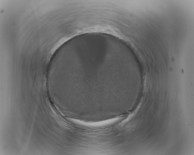 X0000060791505200511241831