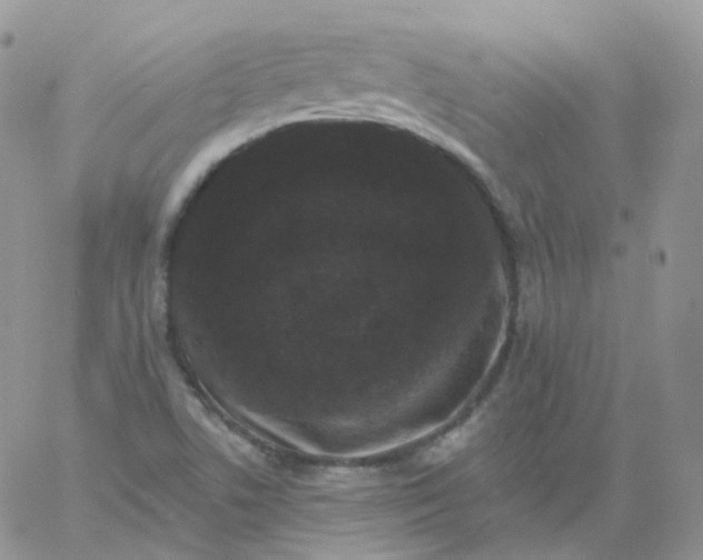 X0000060791506200511241831